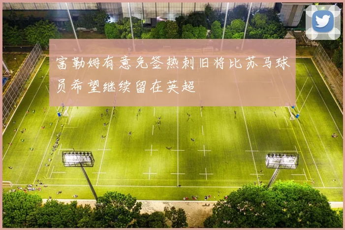 富勒姆有意免签热刺旧将比苏马球员希望继续留在英超
